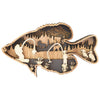 Wetland Fish